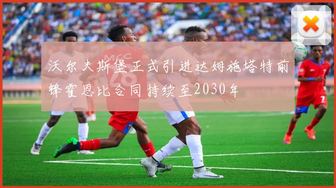 沃尔夫斯堡正式引进达姆施塔特前锋霍恩比合同持续至2030年